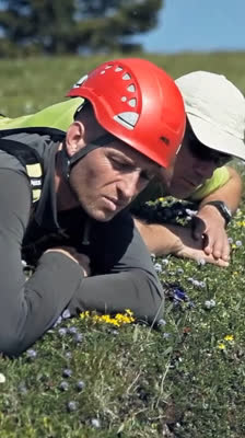 Desire to return to the Chamousset site to continue research: Chamousset