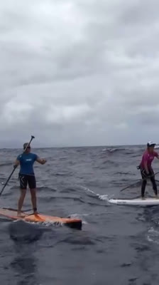 Stand Up Paddle in Hawaii: Morgan Hoesterey and Jenny Kalmbach complete the Kaulakahi Channel crossing between Kauai and Niʻihau · Destination 3 Degrees