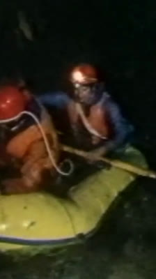 Into the Jungle Depths with Gavin Newman: The Chamber