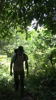 Wara Kalap: ontdekking van veelbelovende grotten in de jungle van Papoea-Nieuw-Guinea