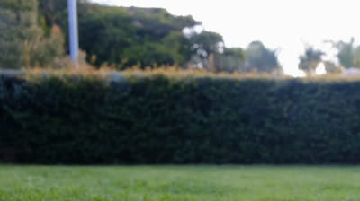 Test2