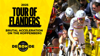 POGACAR and MVDP DESTROY the KOPPENBERG | Van Aert, Pedersen & Jorgenson EXPLODE - Flanders 2025