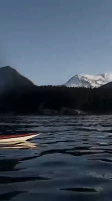 El equipo reflexiona sobre su expedición en kayak a la isla Augustine y los desafíos enfrentados: The Ikkatsu Project