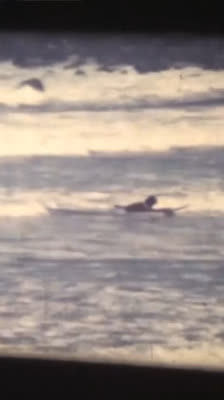 Álvaro Abarca y la expansión del surf en Chile: pioneros, comunidades y desarrollo costero · Old Dog / Viejo Perro