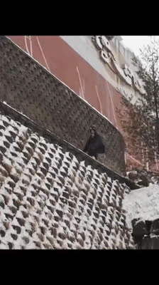 Urban freeride skiing highlights in Pyeongchang, South Korea · We Trust Your Judgment
