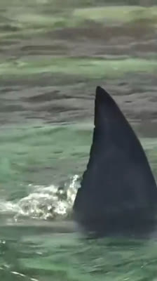 Damien Rider faces a storm and a shark encounter during his paddleboard journey · Heart of the Sea