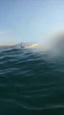 Damien Rider is stalked by a shark while paddleboarding near Merewether Beach · Heart of the Sea
