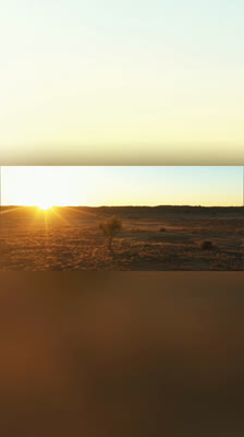 Normal People Would Drive - Officiel trailer