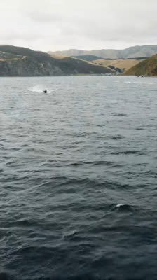 Brian Walters y Justin Grobler Cruzan con Éxito el Estrecho de Cook | Foil the Strait